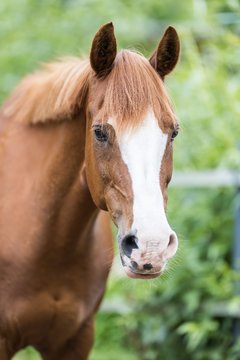 Bild 81 - Vivi